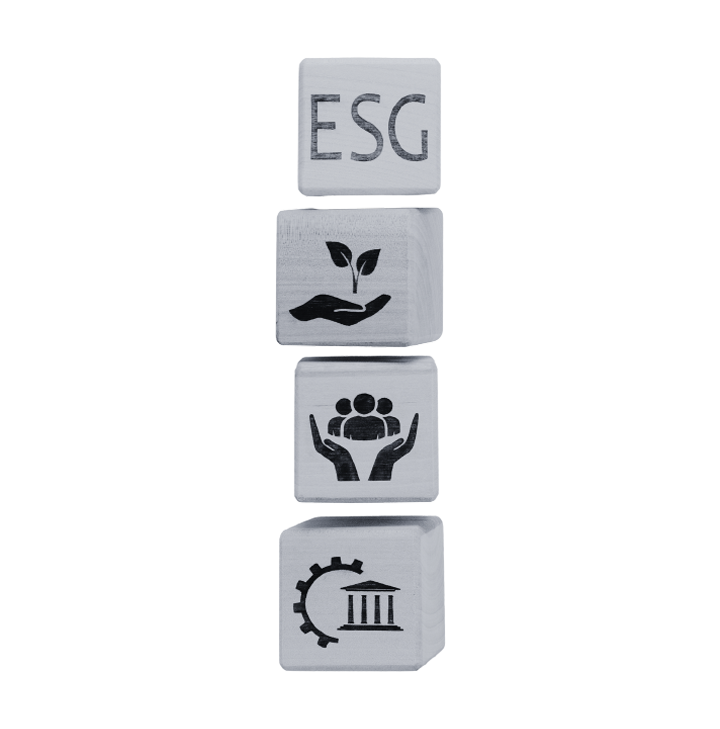 Consulenza di ESG management, stakeholder engagement, benessere aziendale